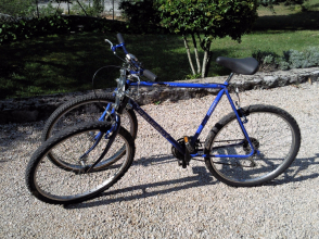 gallery/photo0901